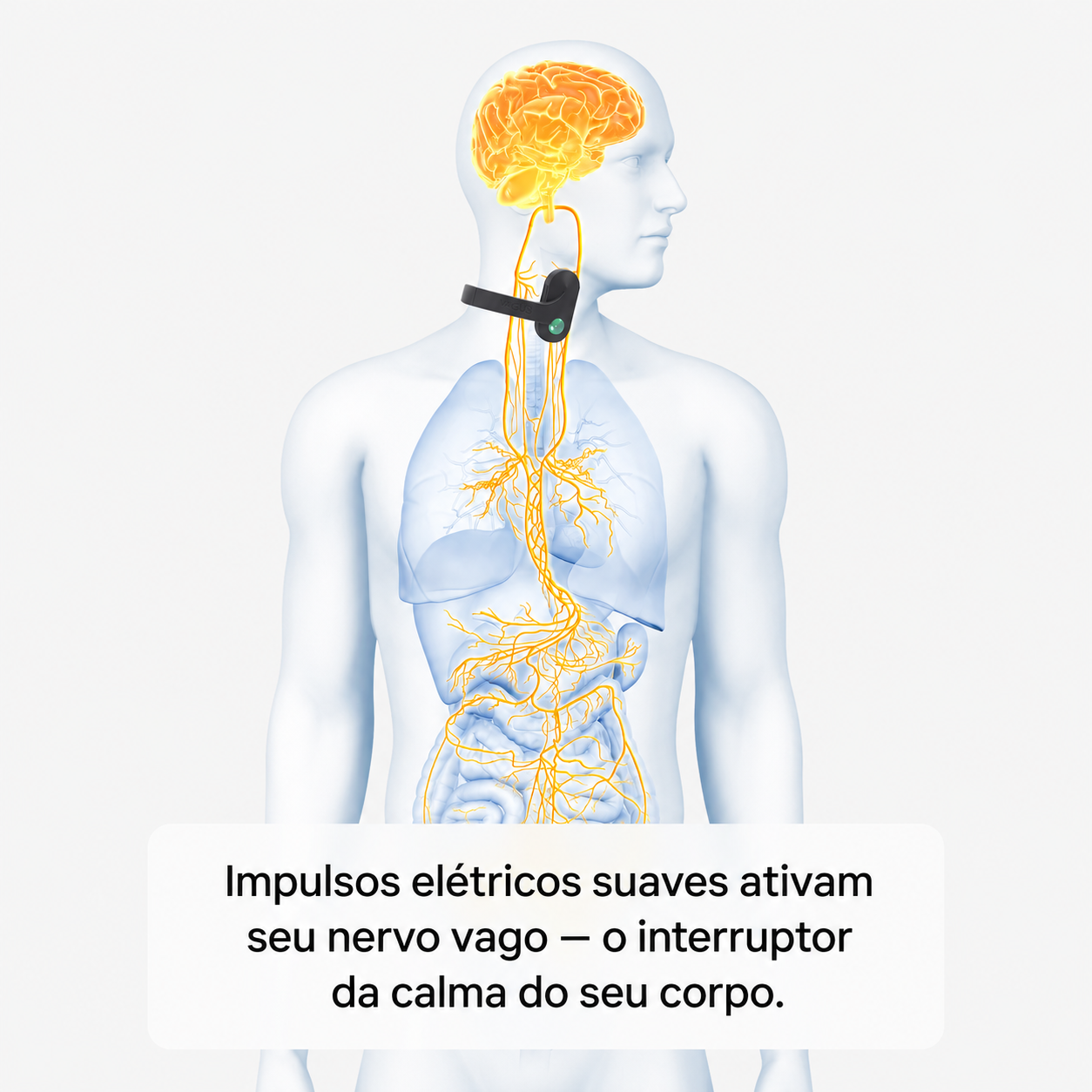 Vagus - Neuroestimulador Cervical do Nervo Vago