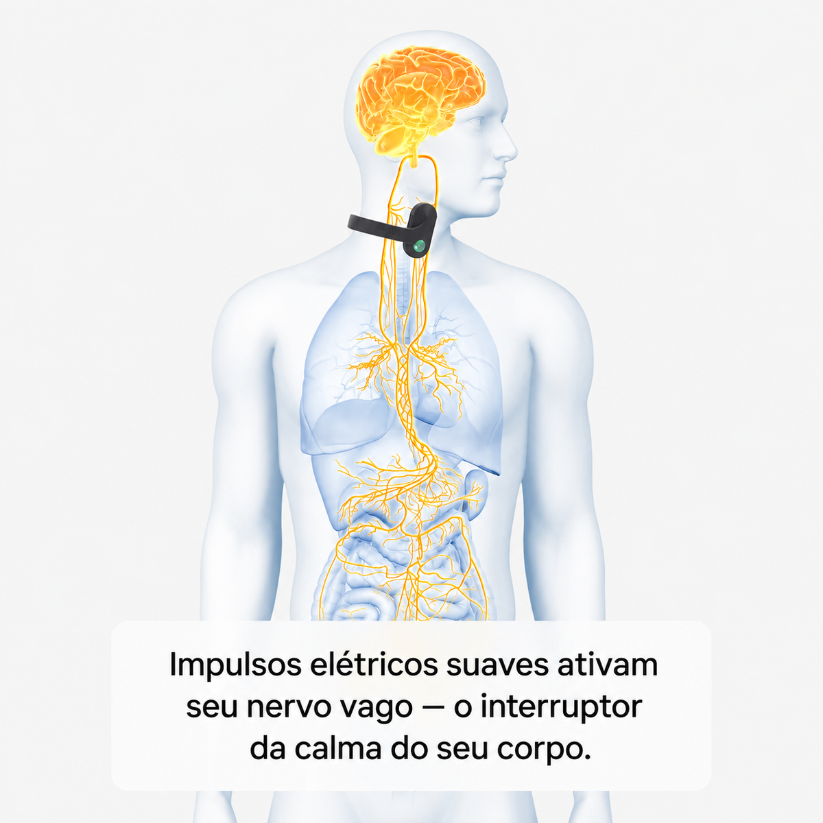 Vagus - Neuroestimulador Cervical do Nervo Vago